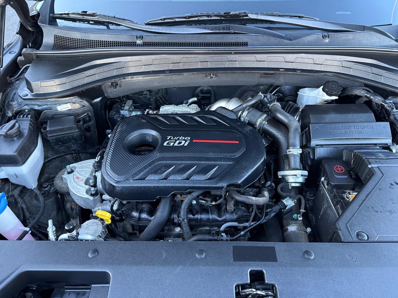 2020 Hyundai Santa Fe Luxury 2.0 Photo