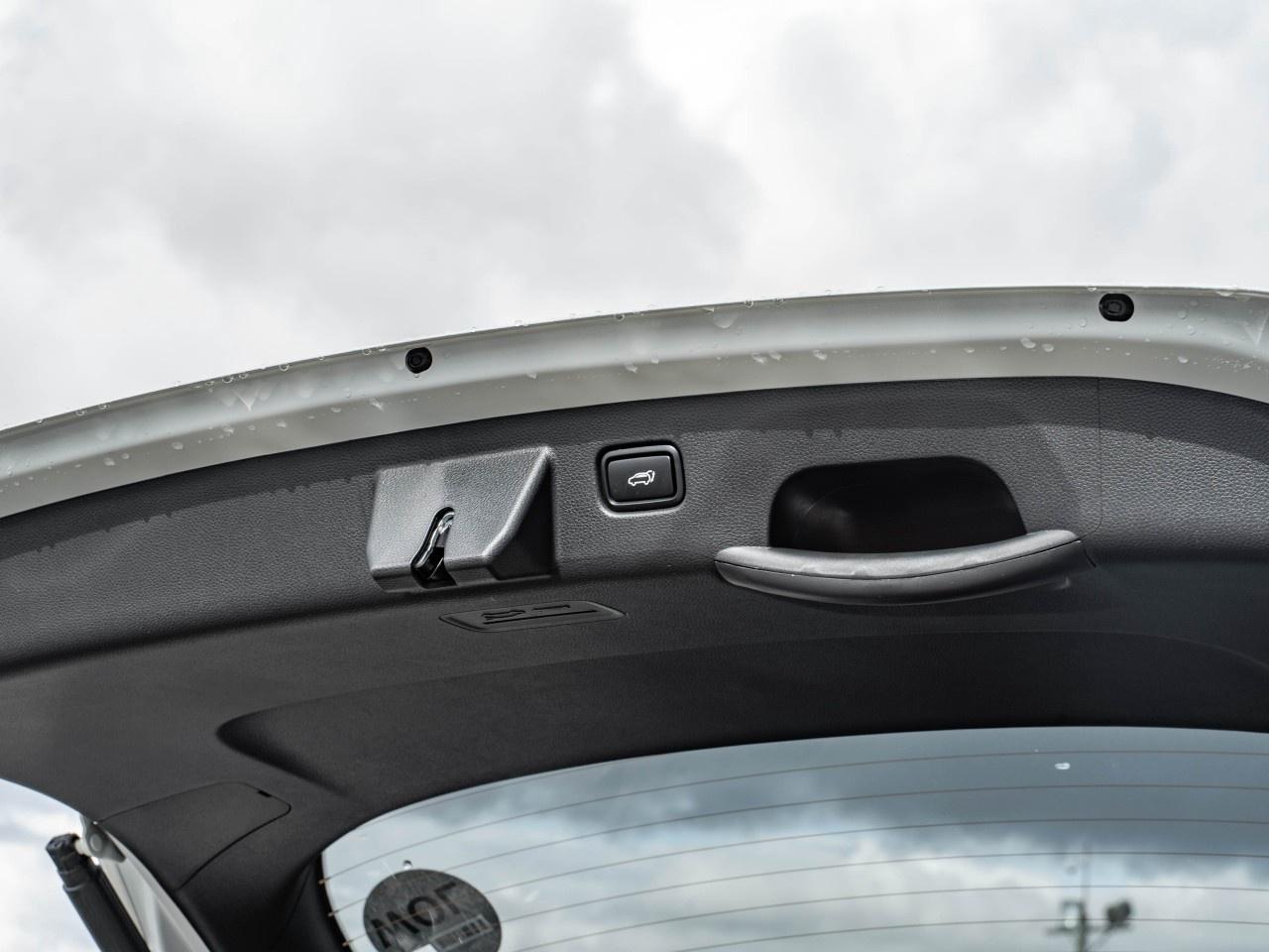 2026 Kia Seltos EX PREMIUM AWD Photo