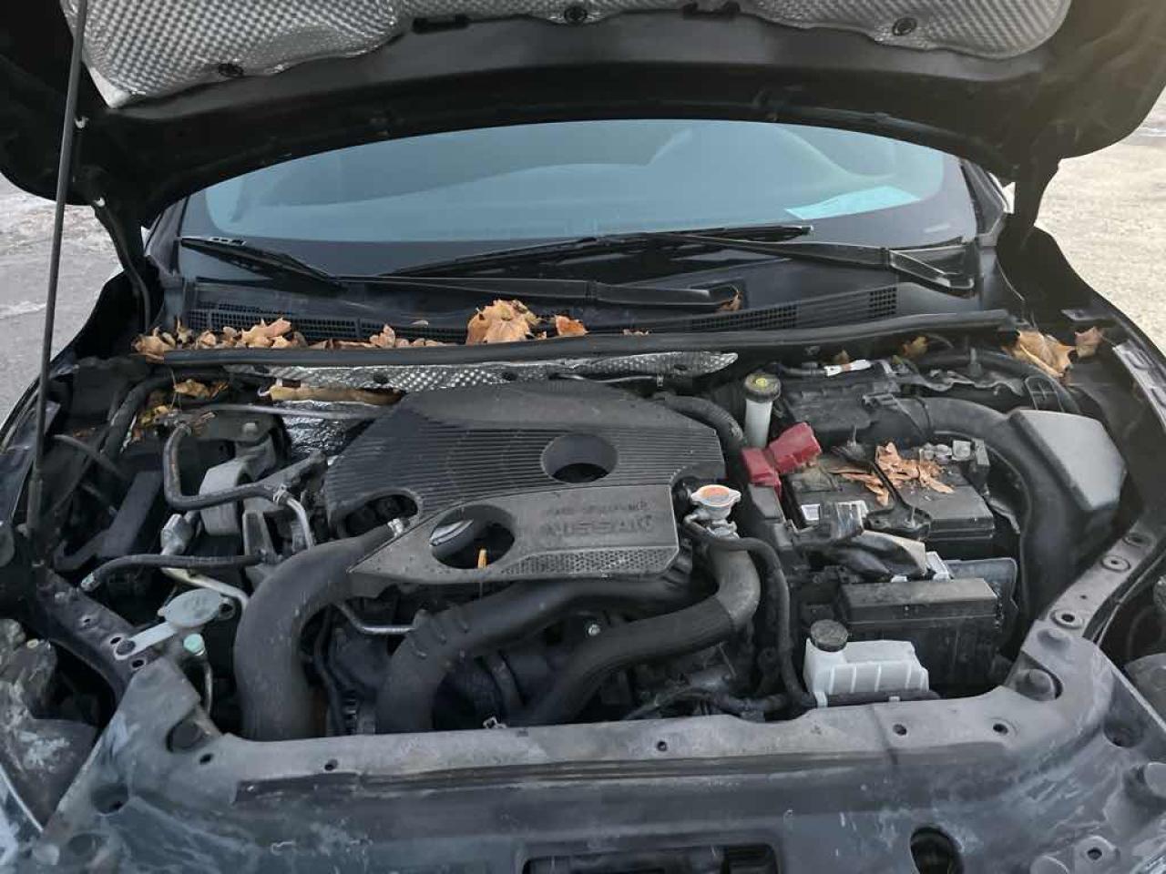 2017 Nissan Sentra NISMO Photo