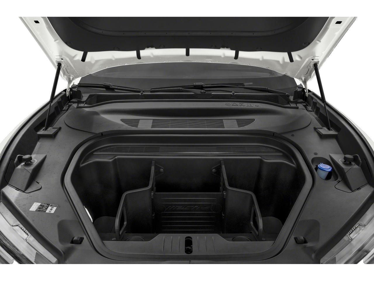 2022 Ford Mustang Mach-E Select Photo