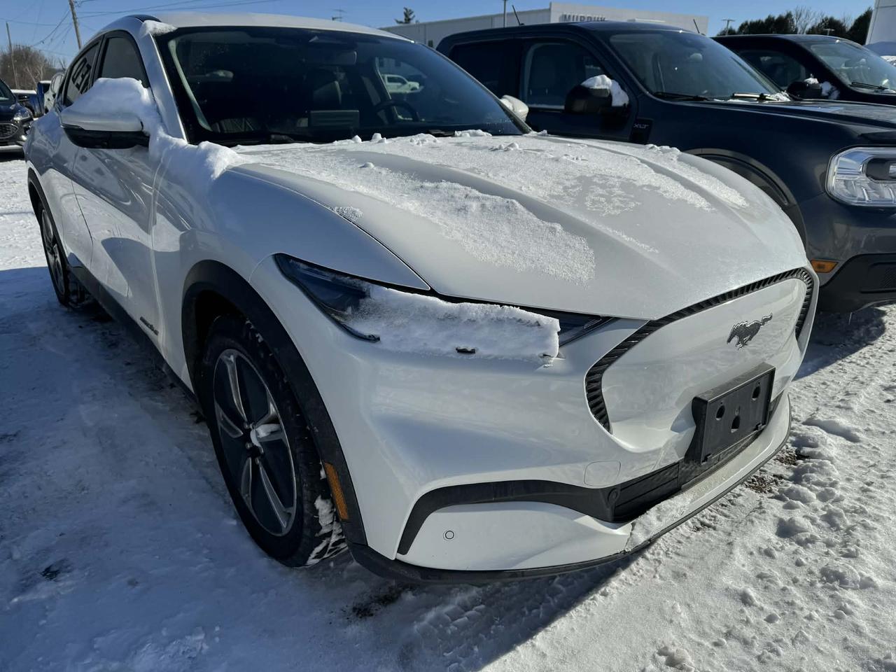 2022 Ford Mustang Mach-E Select Photo