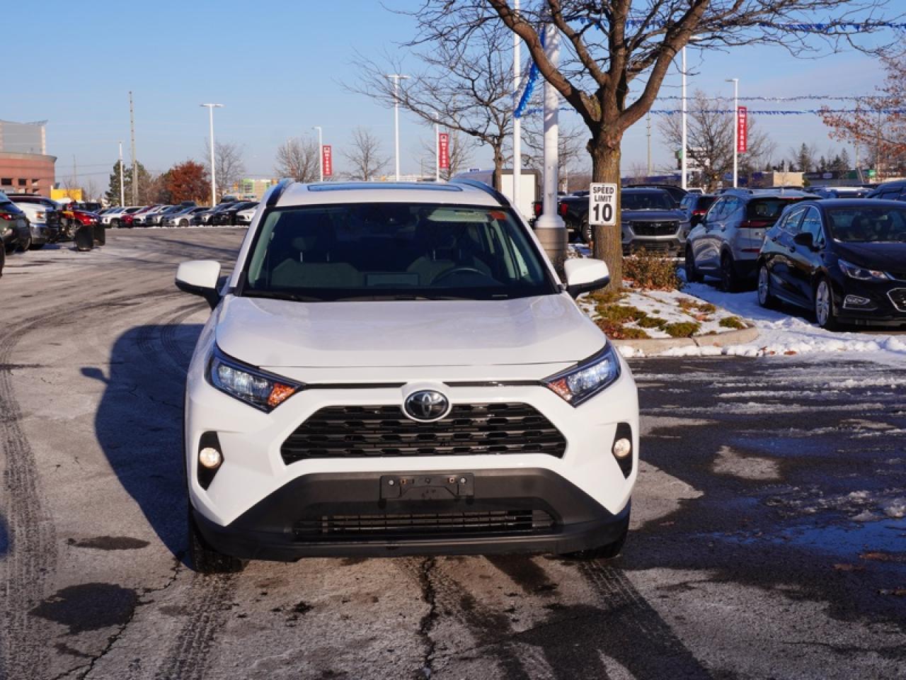 2021 Toyota RAV4 XLE AWD  - Sunroof -  Power Liftgate Photo3