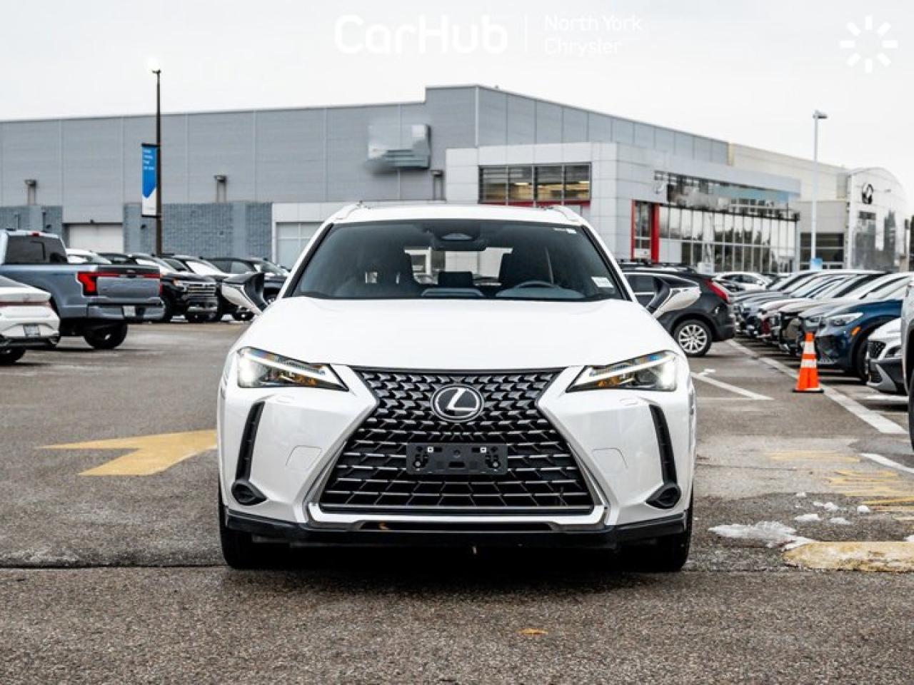 2025 Lexus UX UX 300h Photo2