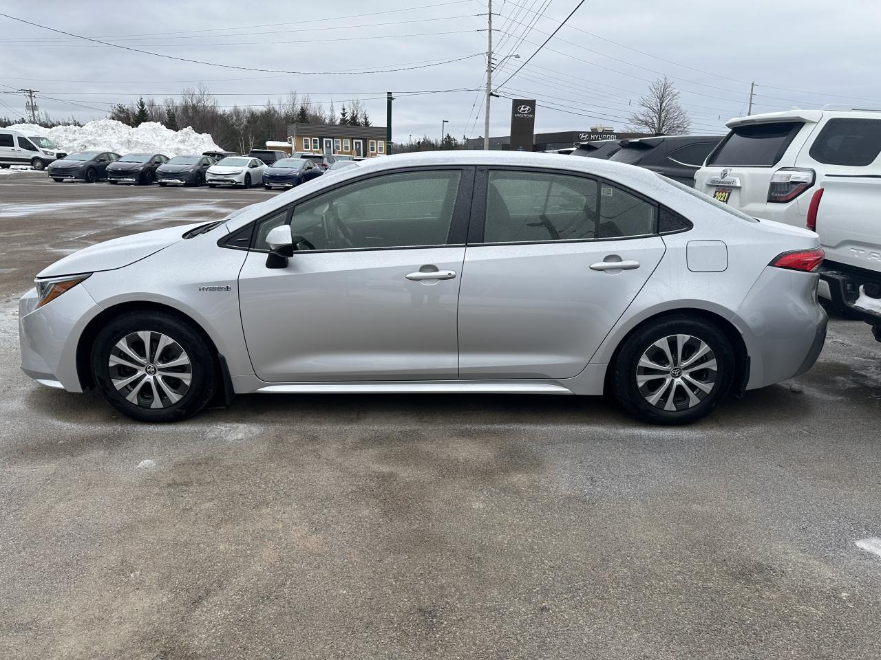 2020 Toyota Corolla Hybrid Photo4