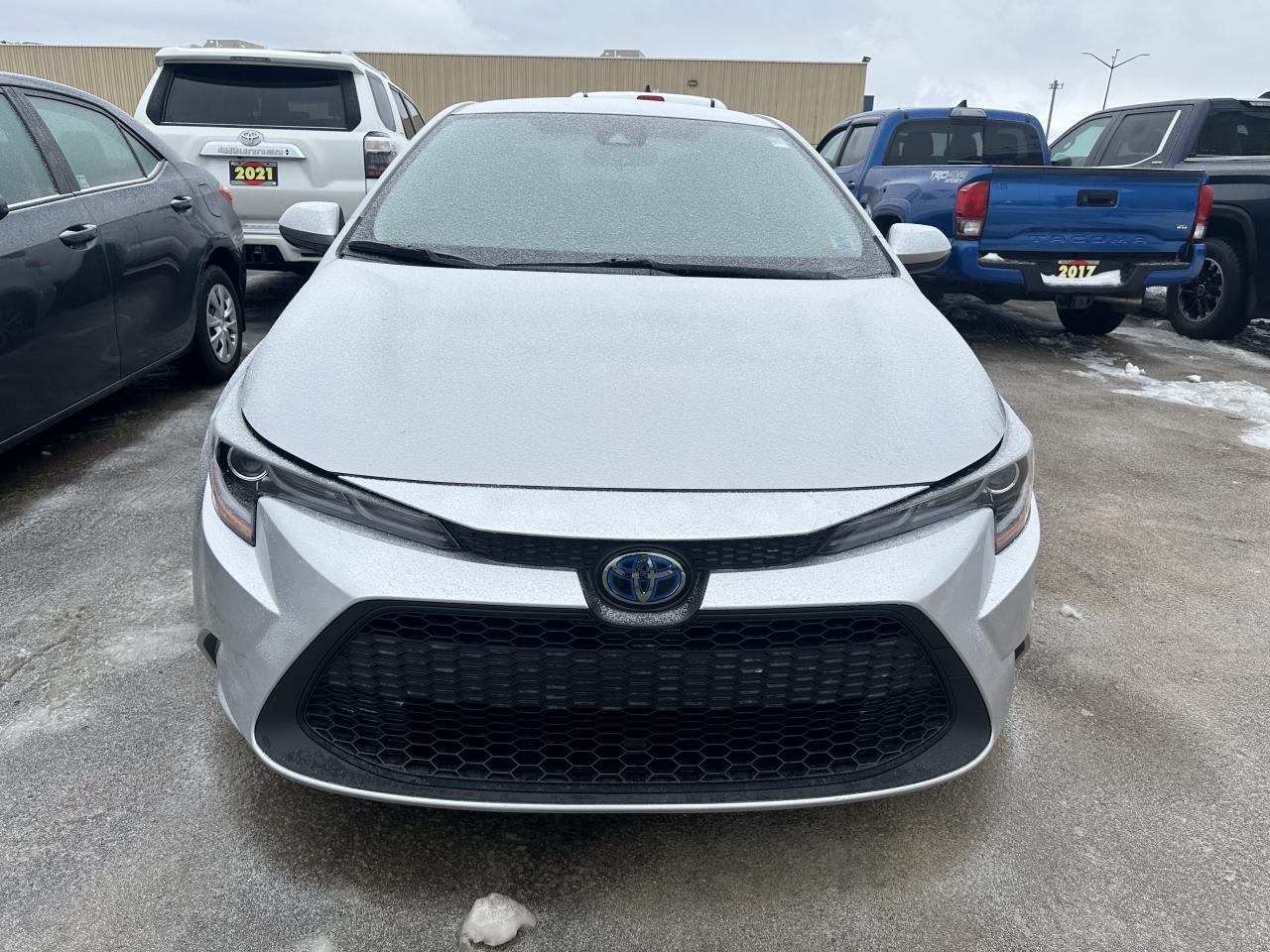 2020 Toyota Corolla Hybrid Photo1