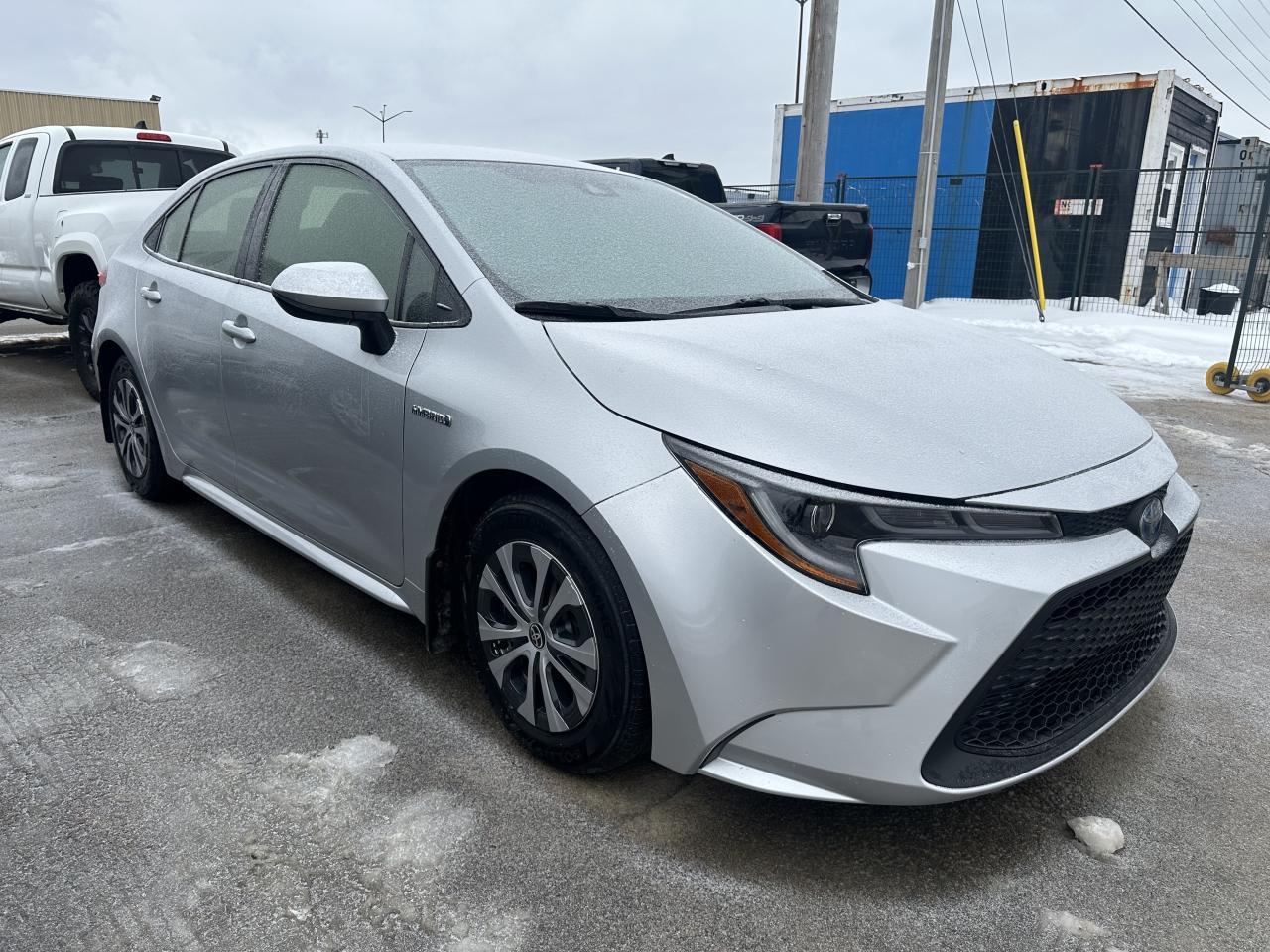 2020 Toyota Corolla Hybrid Photo2