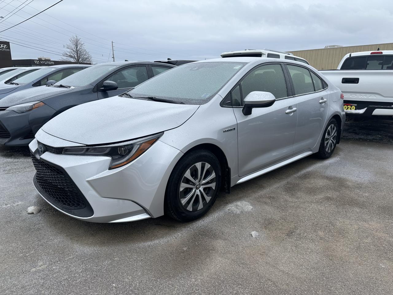 2020 Toyota Corolla Hybrid Photo0