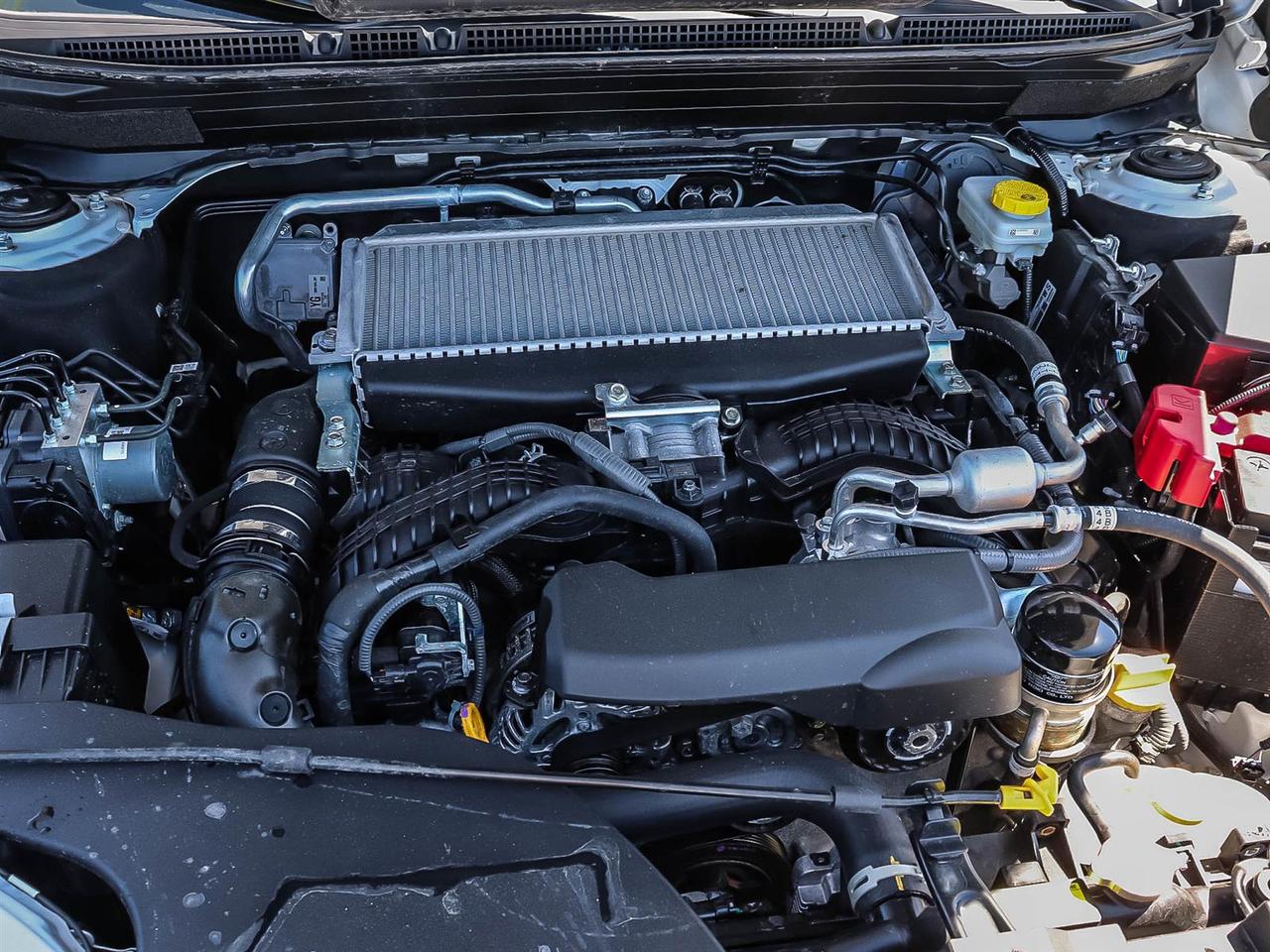 2026 Subaru Outback Premier XT Photo