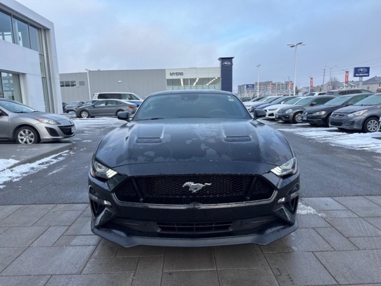 2019 Ford Mustang GT Fastback  - Low Mileage Photo