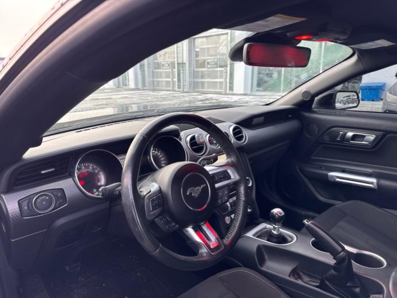 2019 Ford Mustang GT Fastback  - Low Mileage Photo