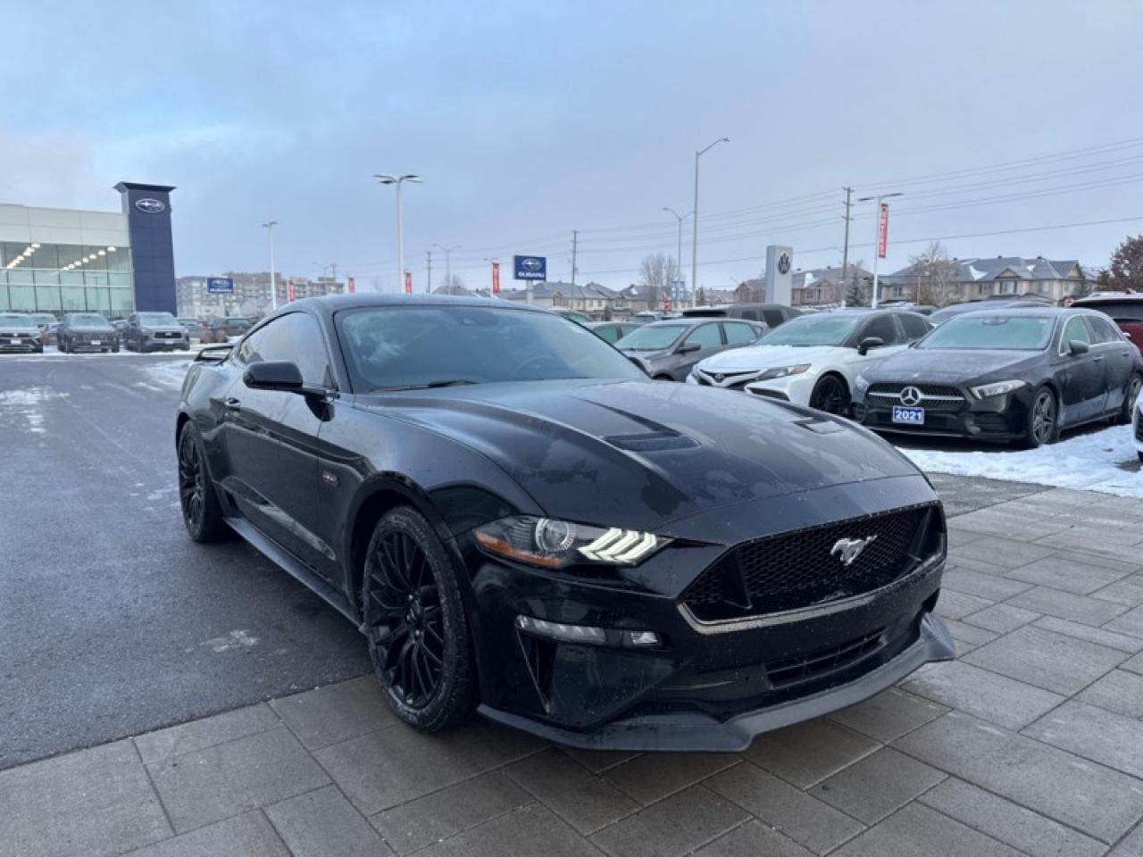 2019 Ford Mustang GT Fastback  - Low Mileage Photo3
