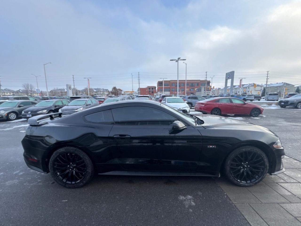 2019 Ford Mustang GT Fastback  - Low Mileage Photo