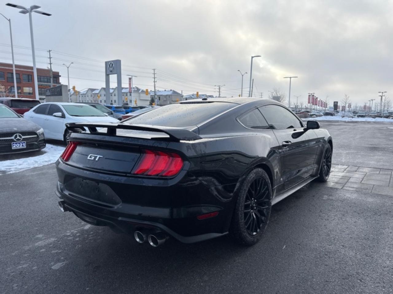 2019 Ford Mustang GT Fastback  - Low Mileage Photo