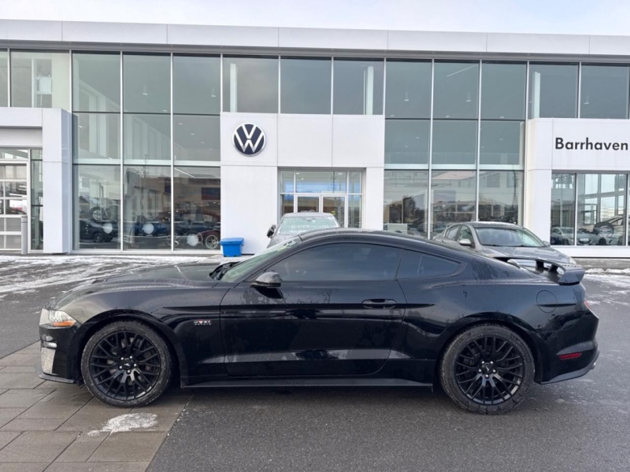 2019 Ford Mustang GT Fastback  - Low Mileage Photo