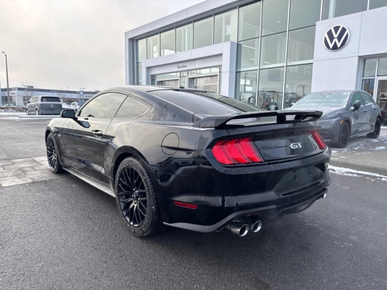 2019 Ford Mustang GT Fastback  - Low Mileage Photo