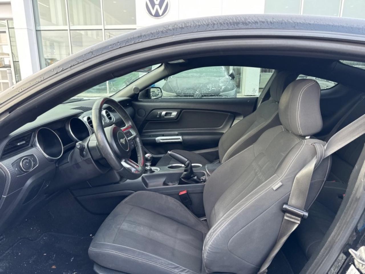 2019 Ford Mustang GT Fastback  - Low Mileage Photo