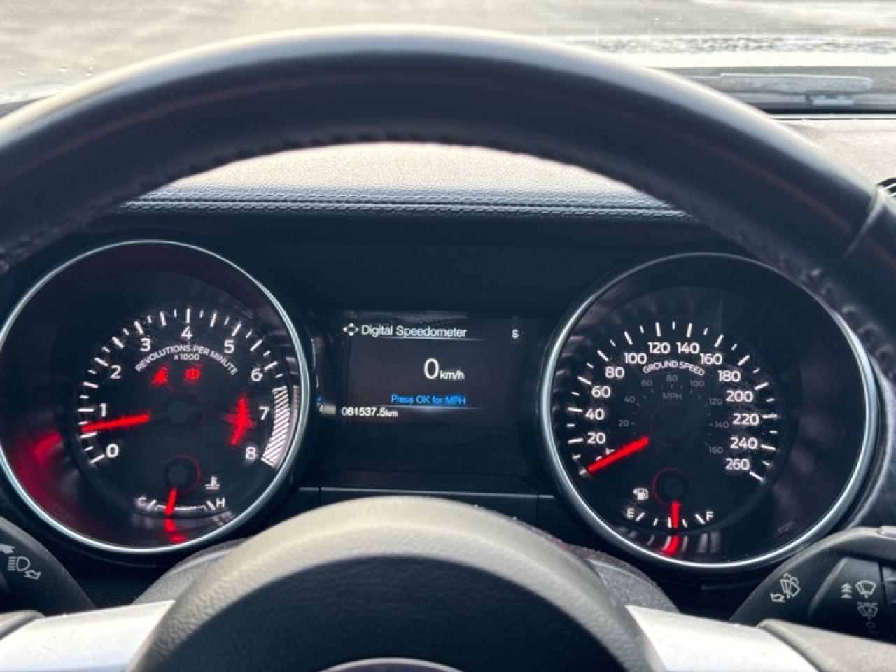 2019 Ford Mustang GT Fastback  - Low Mileage Photo