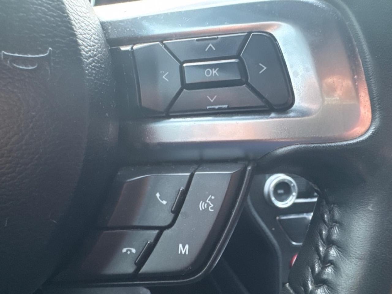 2019 Ford Mustang GT Fastback  - Low Mileage Photo