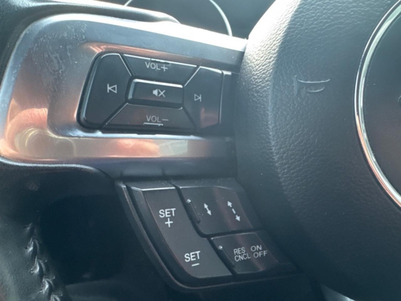 2019 Ford Mustang GT Fastback  - Low Mileage Photo