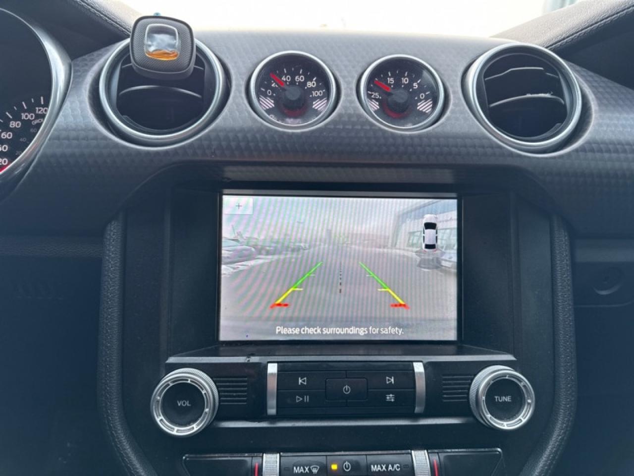 2019 Ford Mustang GT Fastback  - Low Mileage Photo