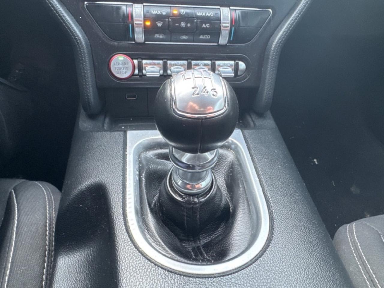 2019 Ford Mustang GT Fastback  - Low Mileage Photo