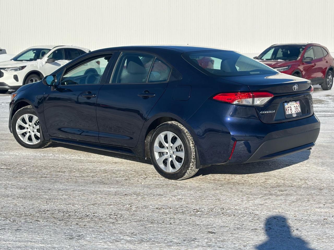 2021 Toyota Corolla  Photo