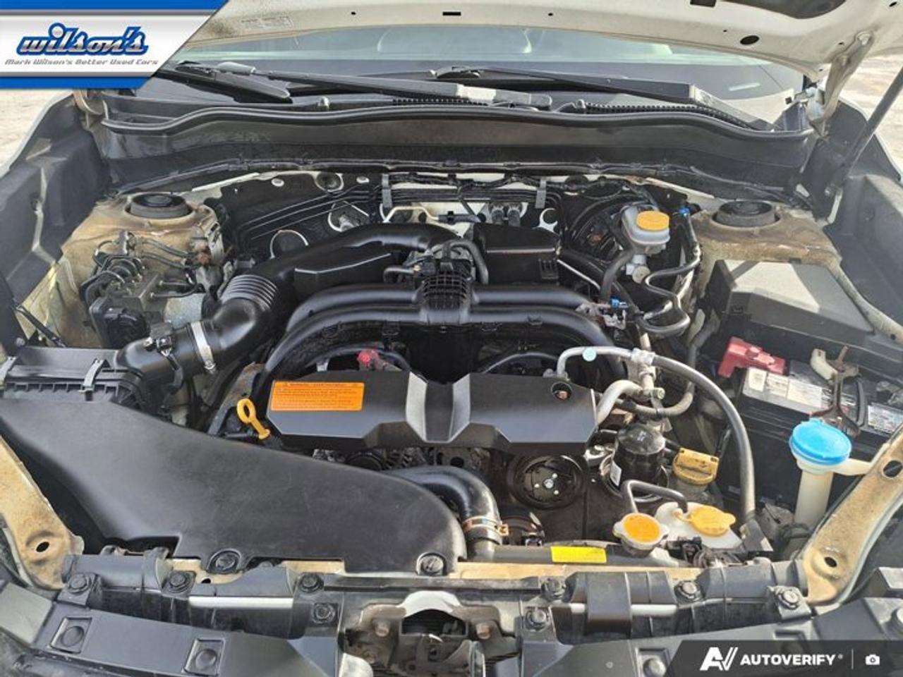 2017 Subaru Forester Limited w/Tech Pkg AWD | Leather | Sunroof | Nav | Heated Wheel + Seats | Adaptive Cruise & More ! Photo