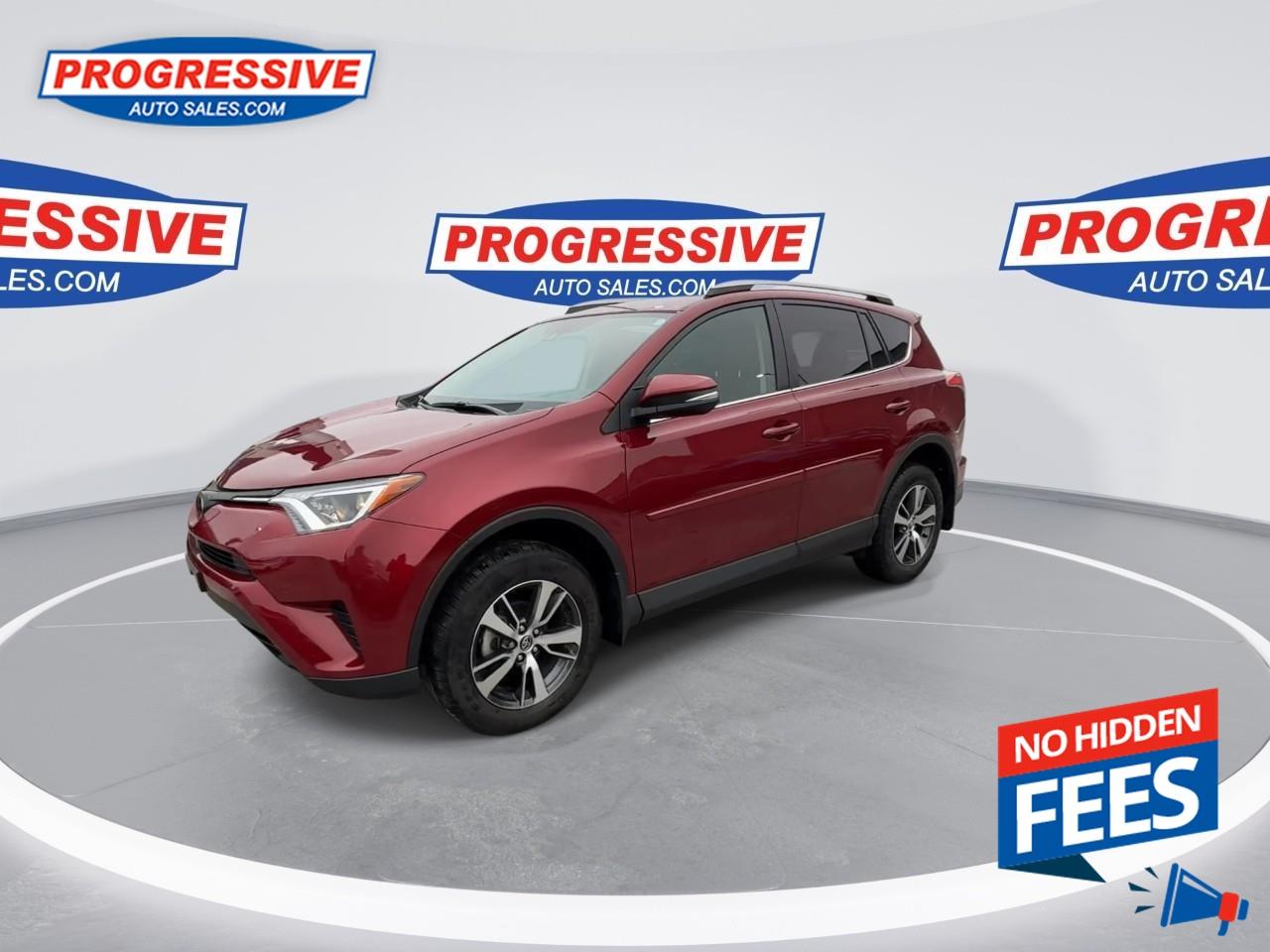 2018 Toyota RAV4 LE Photo