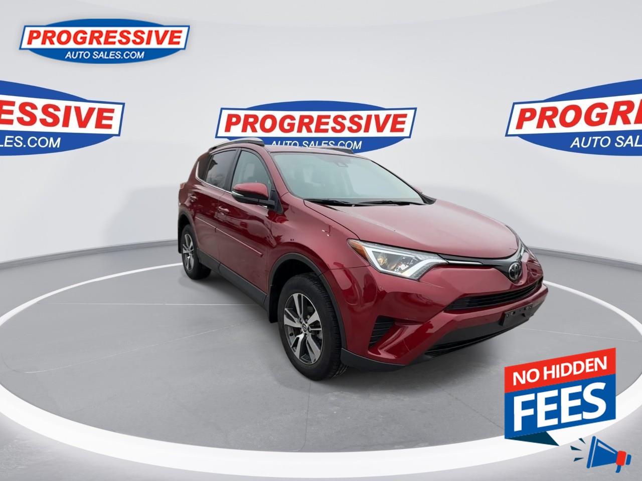 2018 Toyota RAV4 LE Photo