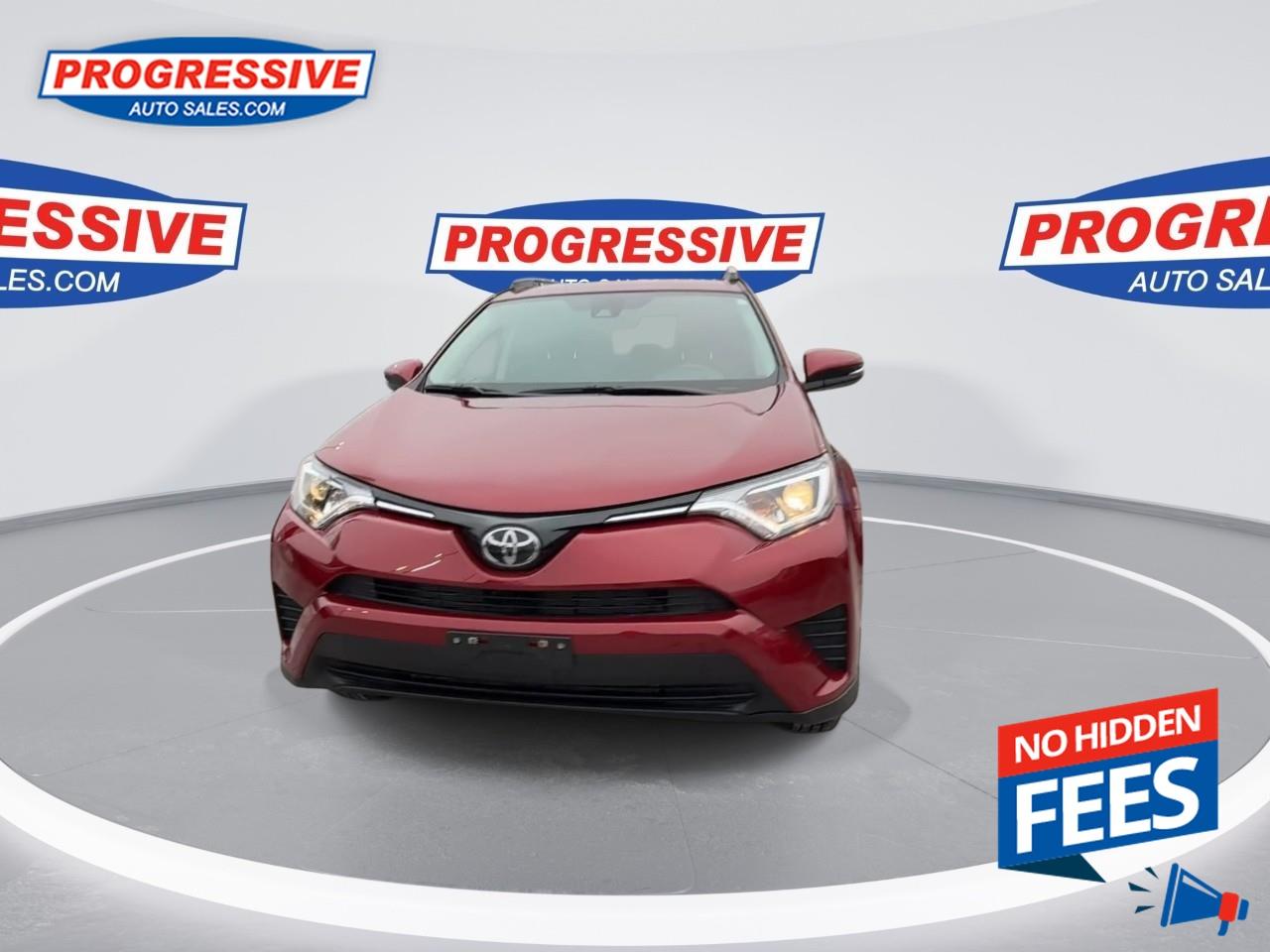 2018 Toyota RAV4 LE Photo3