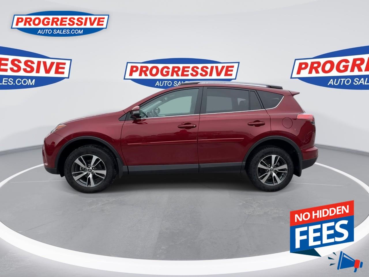 2018 Toyota RAV4 LE Photo