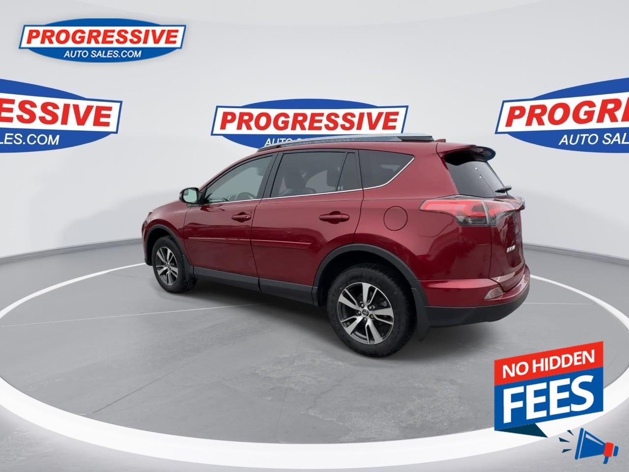 2018 Toyota RAV4 LE Photo