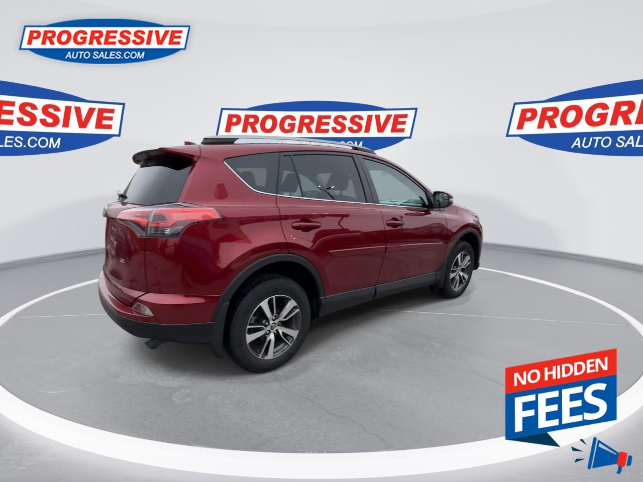 2018 Toyota RAV4 LE Photo