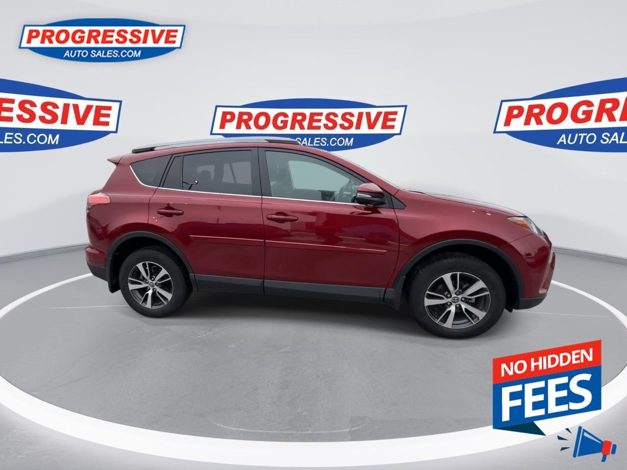 2018 Toyota RAV4 LE Photo