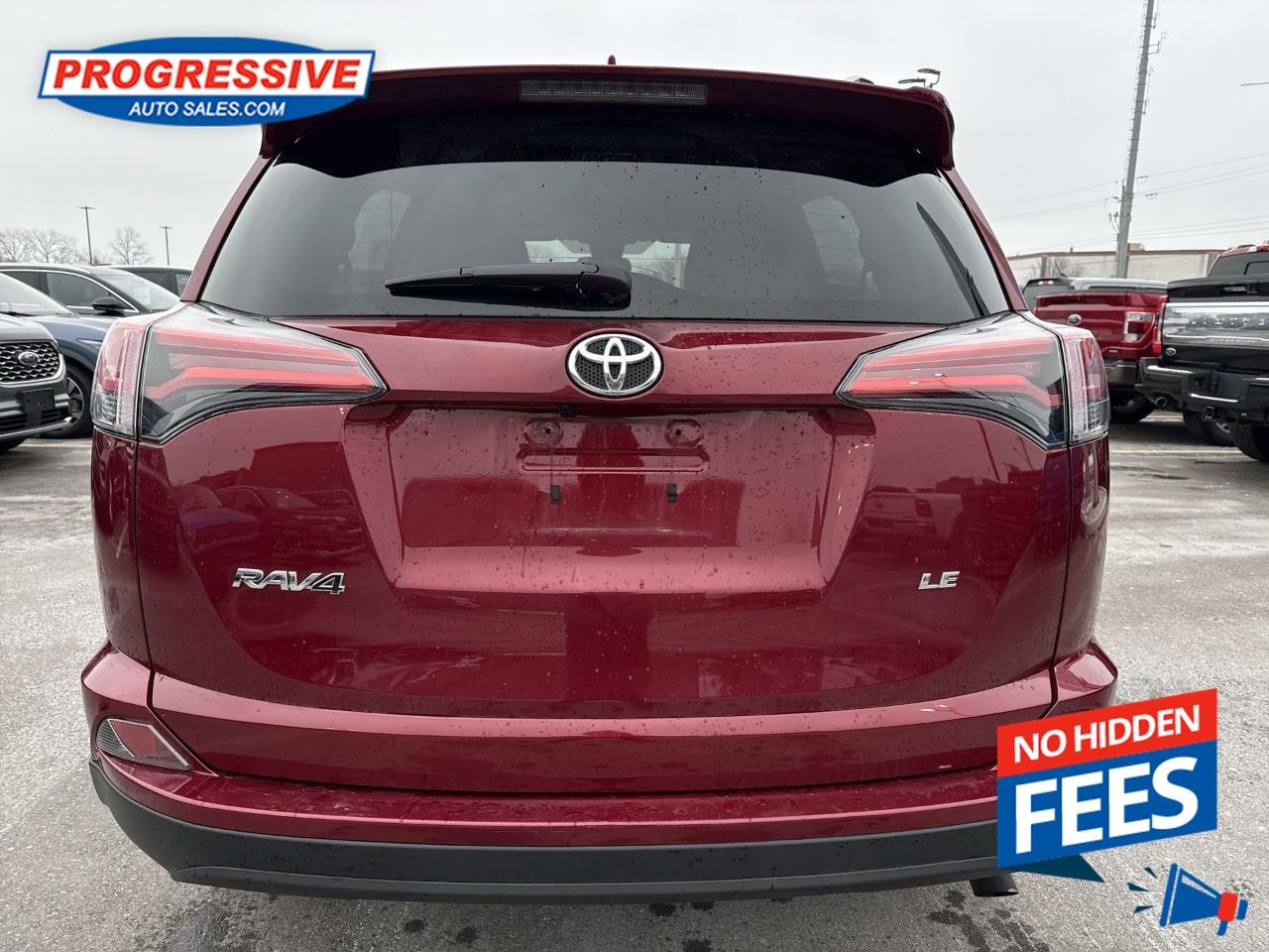 2018 Toyota RAV4 LE Photo