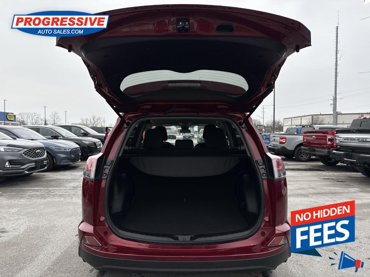 2018 Toyota RAV4 LE Photo