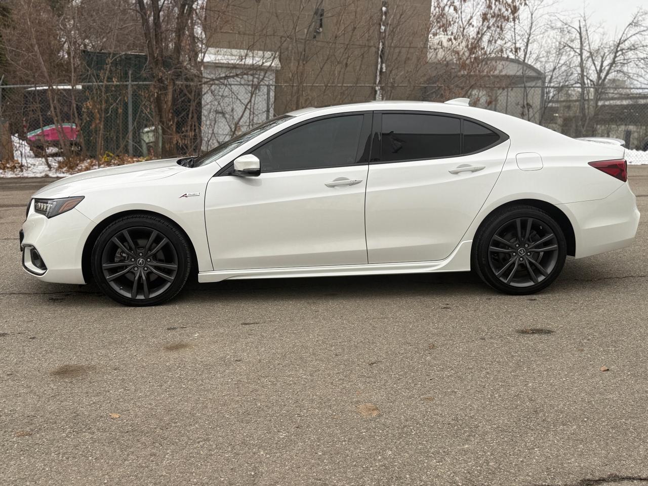 2019 Acura TLX Tech A-Spec - Photo #8
