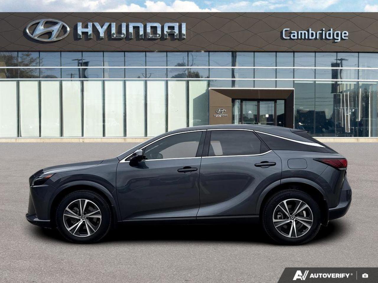 2024 Lexus RX RX 350h Photo3