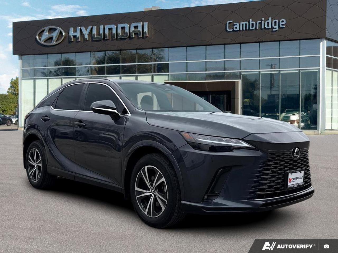 2024 Lexus RX RX 350h Photo