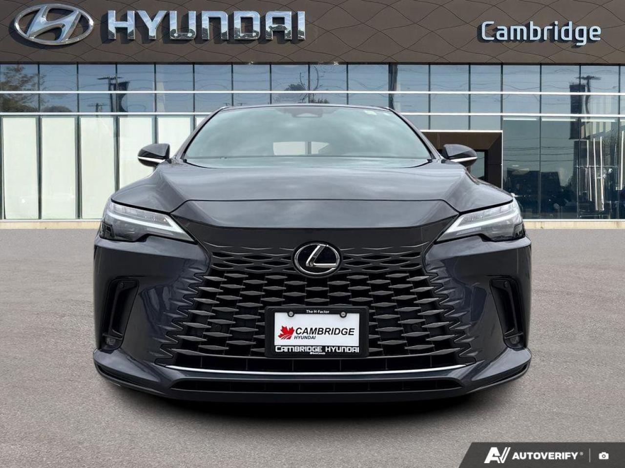 2024 Lexus RX RX 350h Photo