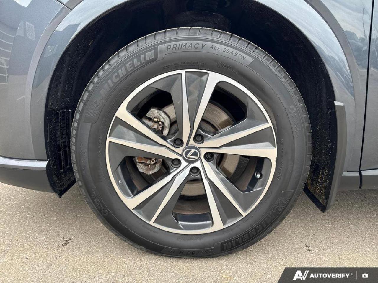 2024 Lexus RX RX 350h Photo