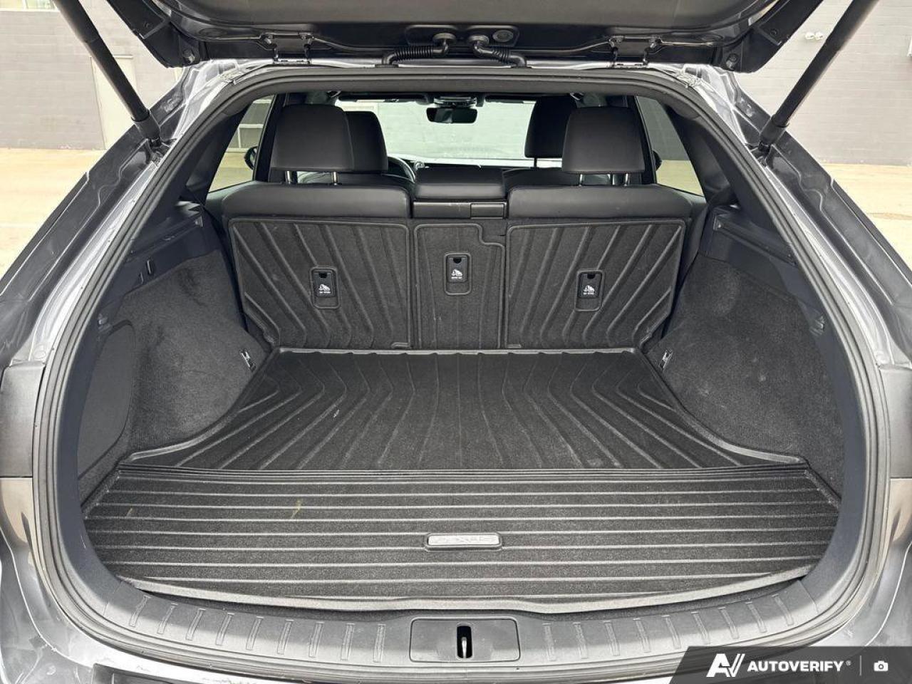 2024 Lexus RX RX 350h Photo