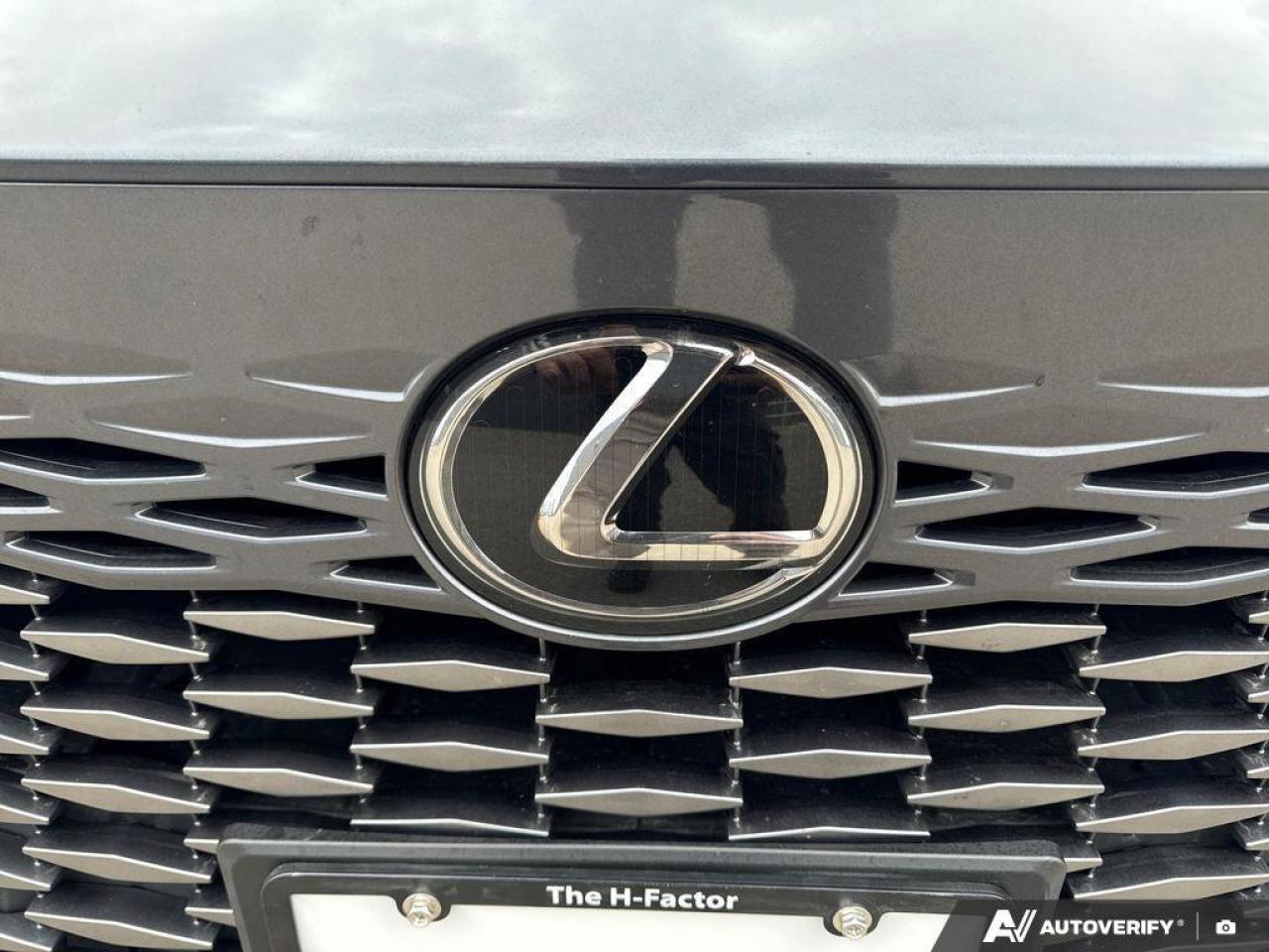 2024 Lexus RX RX 350h Photo