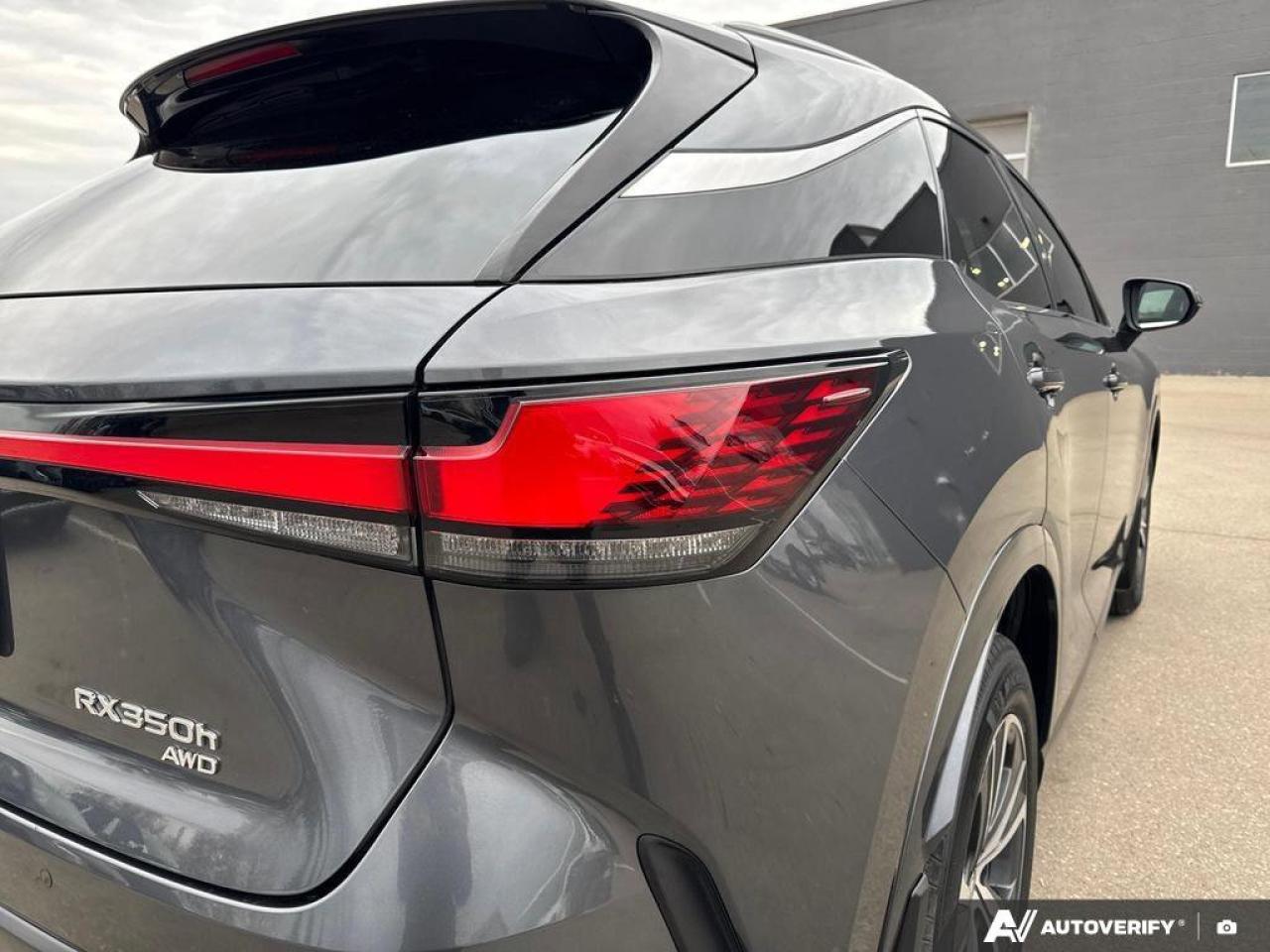 2024 Lexus RX RX 350h Photo