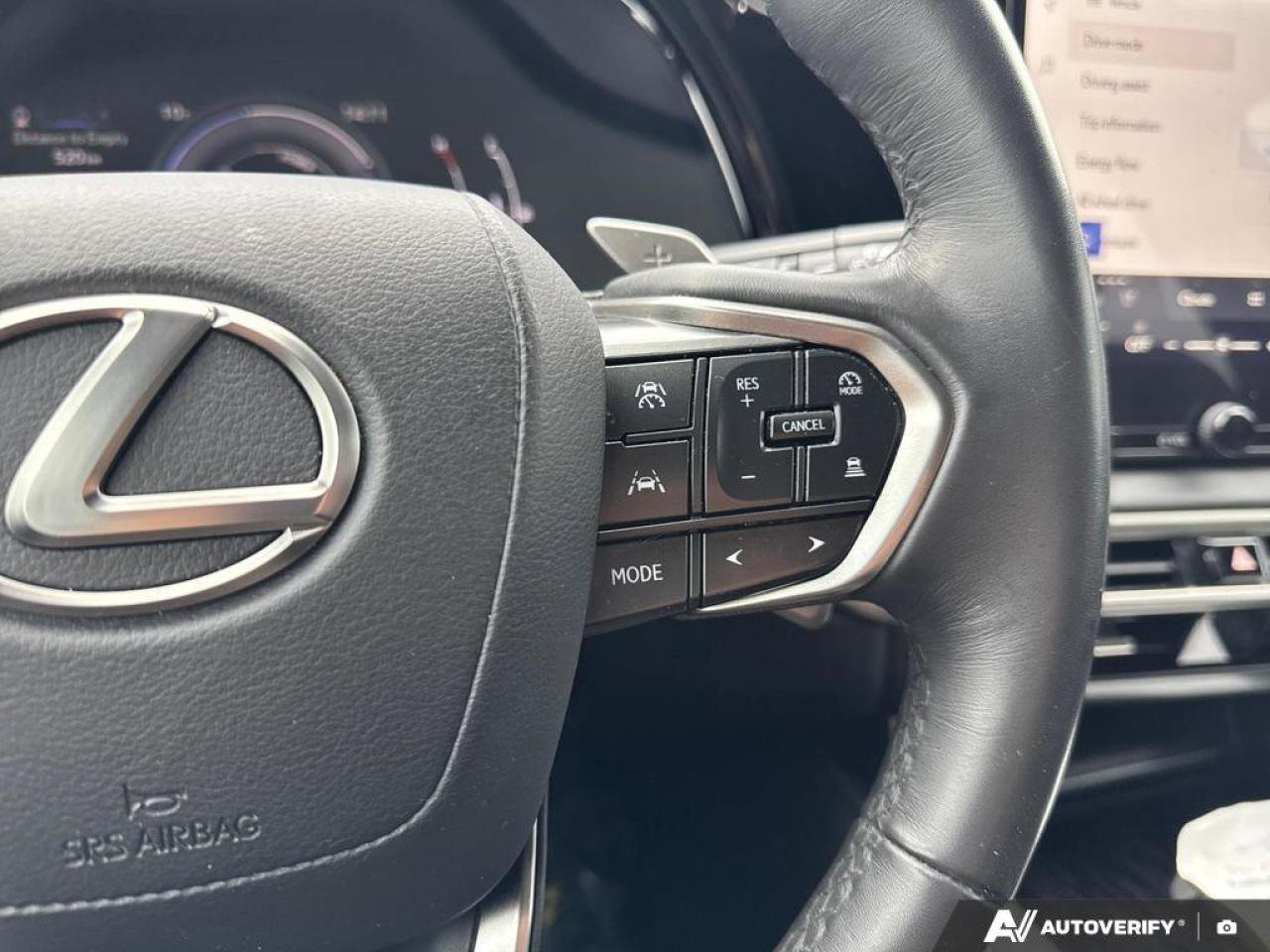 2024 Lexus RX RX 350h Photo
