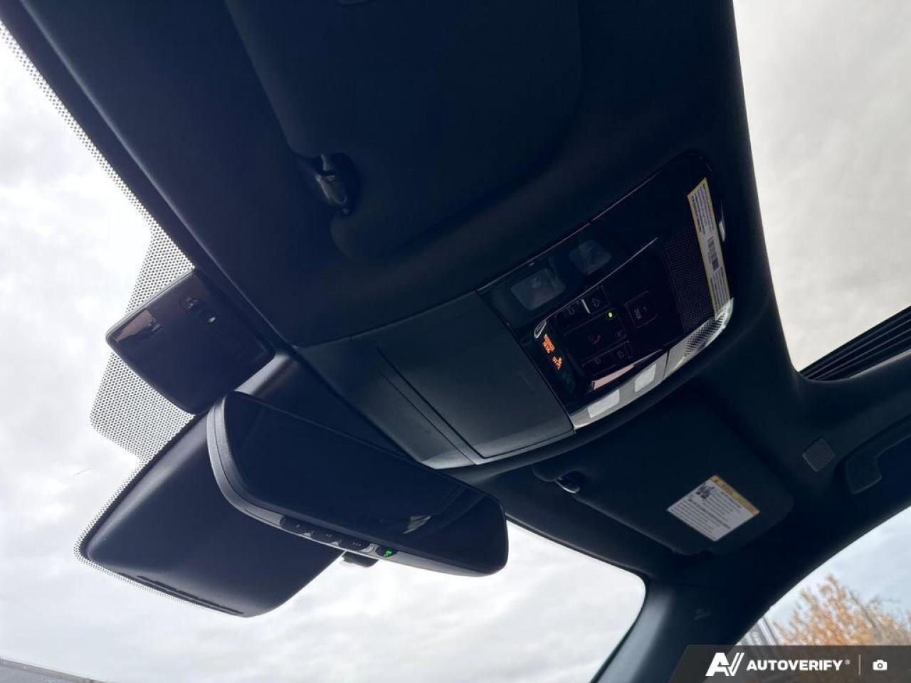 2024 Lexus RX RX 350h Photo