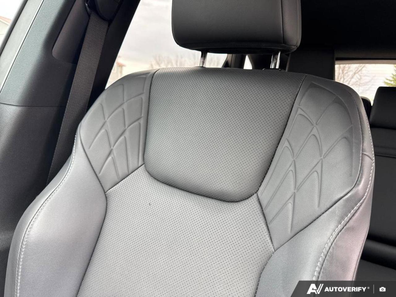 2024 Lexus RX RX 350h Photo