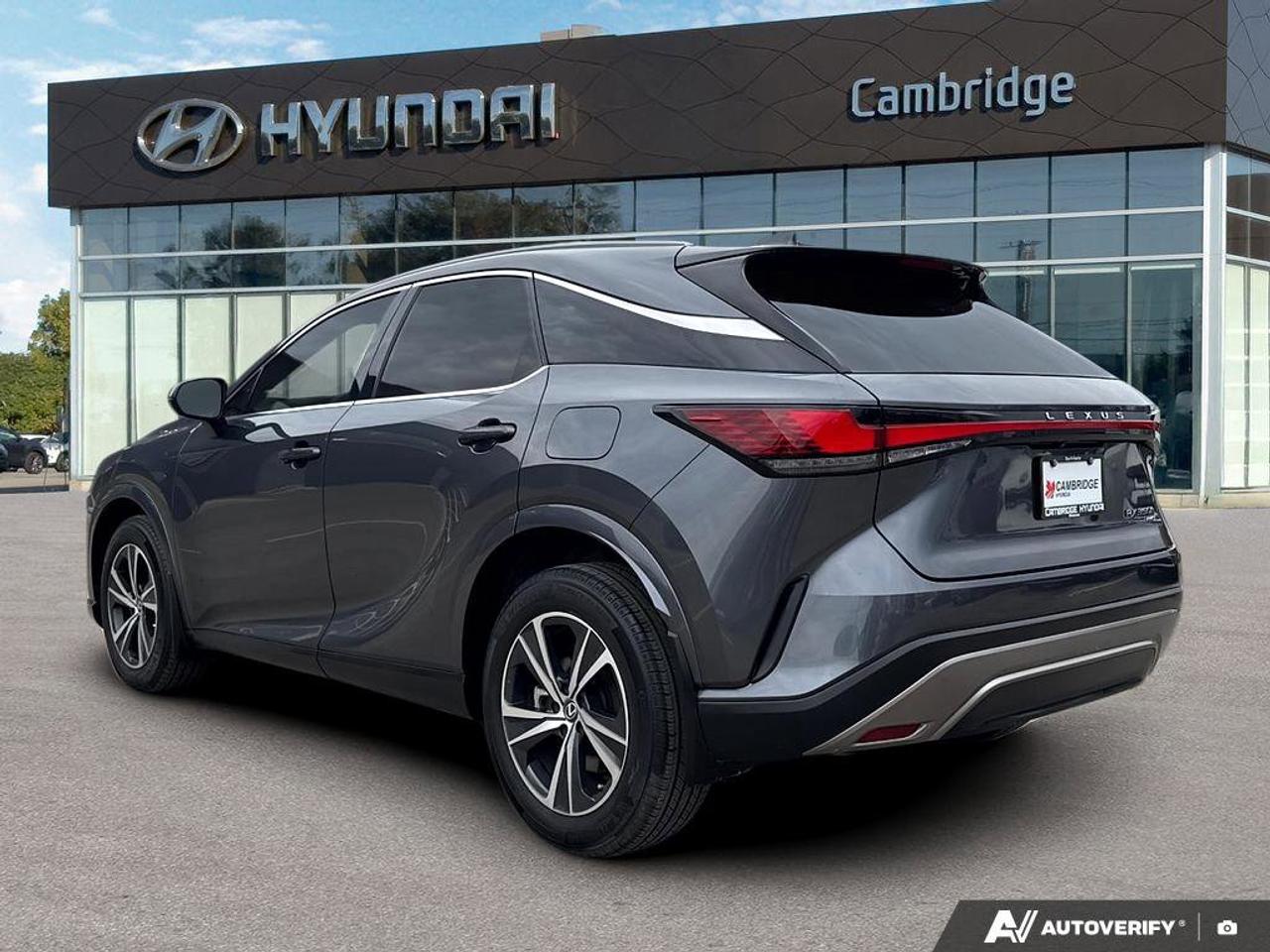2024 Lexus RX RX 350h Photo