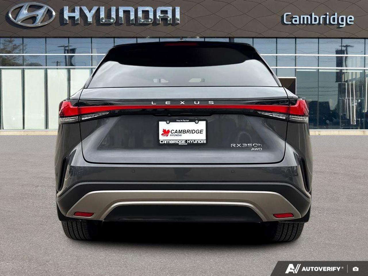 2024 Lexus RX RX 350h Photo