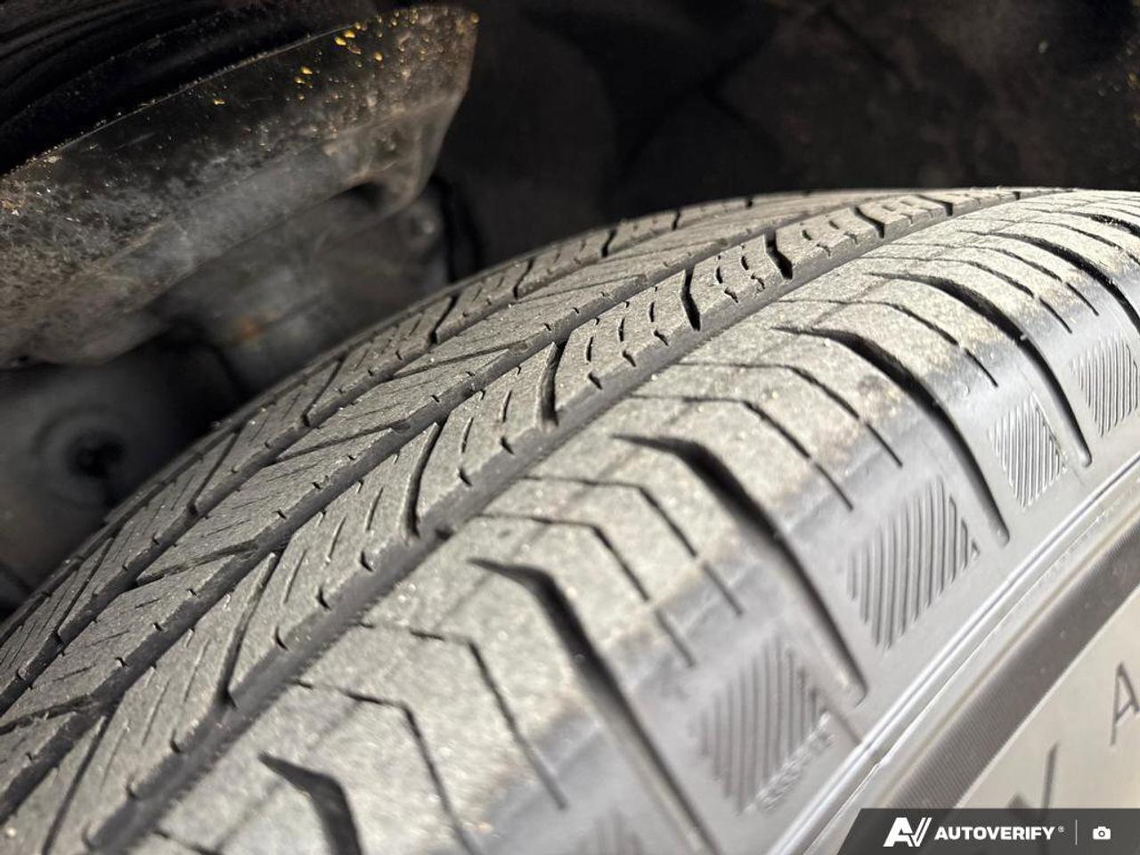 2024 Lexus RX RX 350h Photo